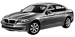 BMW F10 B252E Fault Code